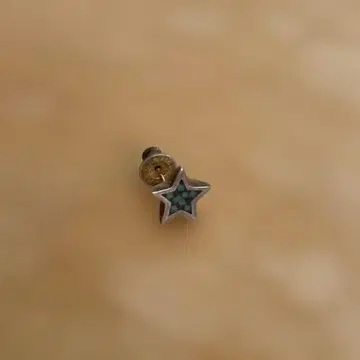 가르니 스타 귀걸이