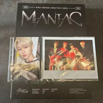 straykids MANIAC 스키즈