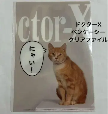 레어 닥터X 벤케이시 고양이 A5 클리어 파일 드라마 TV 아사히