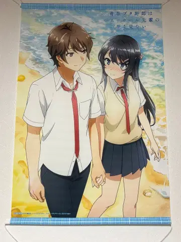 청춘 돼지 B2 태피스트리 애니메이트 전권 구매 혜택