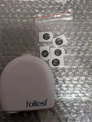 FoRest 승관 프로젝터