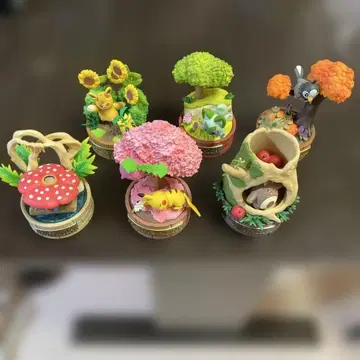 포켓몬스터 숲의 작은 이야기 전 6종 세트