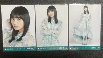 노기자카 브로마이드 엔도 사쿠라