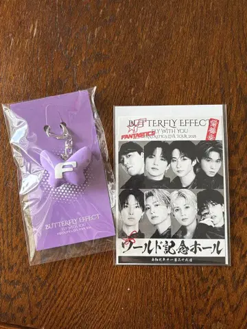 버터플라이 이펙트 키링