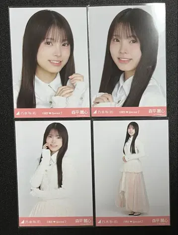 노기자카 생사진 모리히라