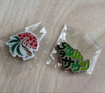 사우디 엑스포 한정판 교류 70주년 기념 배지 세트