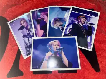 초특급 브로마이드 컴프 슈야