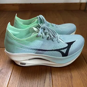 Mizuno Wave Rebellion 러닝화