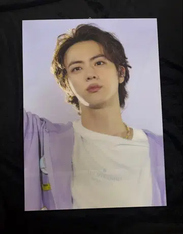 bts JIN 패널 2장 세트