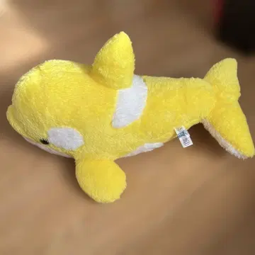 카모가와 씨 월드 범고래 옐로우 컬러