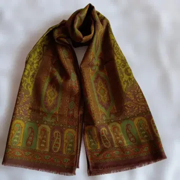 ETRO 다색 무늬 스톨