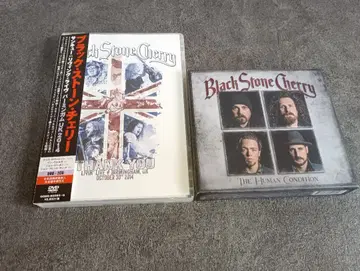 Black Stone Cherry CD&DVD 세트 락 US