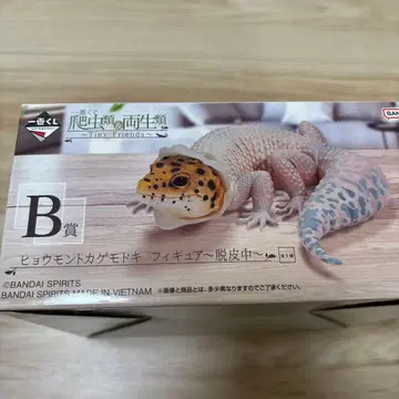 B상 제일복권 파충류 & 양서류