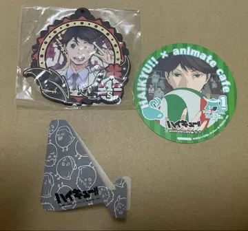 오이카와 토오루 하이큐!! 트레이딩 러버 코스터 Vol.2 아니카페