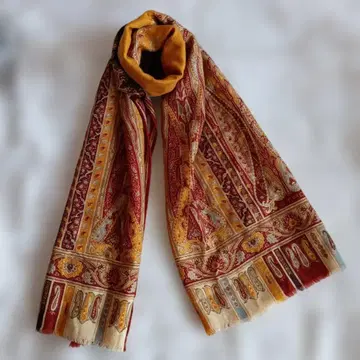 ETRO 페이즐리 무늬 스톨