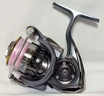 15 아스 루비아스 2004 핸들 없음