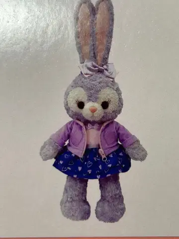 3 새상품 미사용 더피 스텔라 루 코스튬 Heartwarming