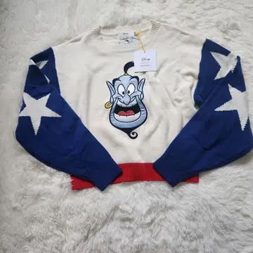 Disney SERIES CREATED by MOUSSY 지니 니트