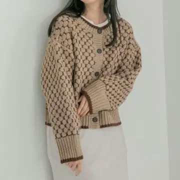 2WAY 패턴 니트 숏 풀오버 가디건 브라운 F