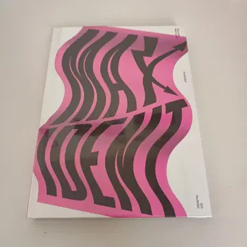 Stray Kids MAXIDENT 한정판 미개봉 새상품 앨범 CD