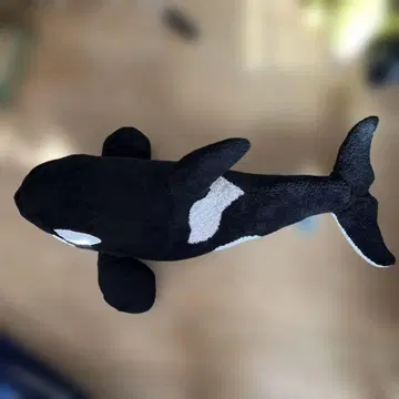 카모가와 씨 월드 큰 범고래