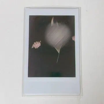 러브시크 타이요 하카마 폴라로이드