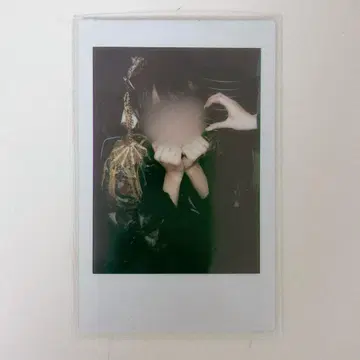 러브시크 태양 숭배 의상 폴라로이드