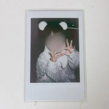 러브 시크 태양 케모미미 폴라로이드