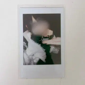 러브시크 태양 프리큐어 폴라로이드