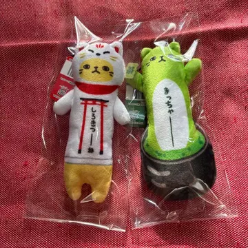 [ 교토 한정판 ] 늘어나는 고양이