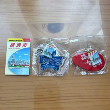 지구의 산책법 요코하마시 하마컬렉션 베이스타즈 헝그리 타이거