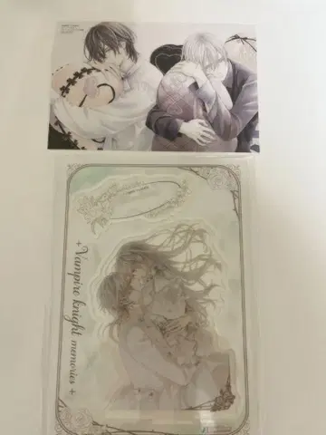 뱀파이어 기사 memories 11권 특전 아크릴 스탠드 피규어