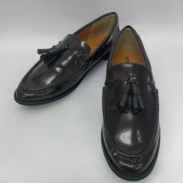 Techichi 프린지 로퍼 다크 브라운 38size