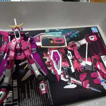 HG 인피니트 저스티스 건담 하자품 정크 완성품