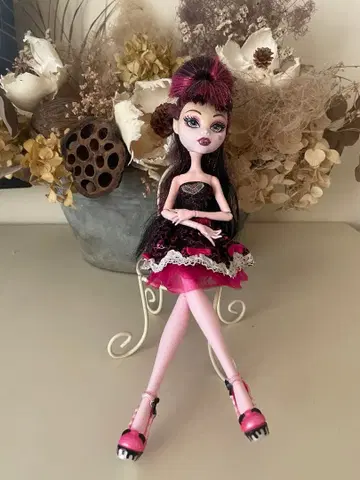 몬스터 하이 드라큘로라 인형