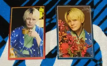 오우마가토키 퓨전 이마이 후미야 트레이딩 카드 장미