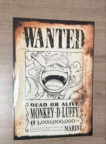 ONE PIECE BASE SHOP 수배서 루피