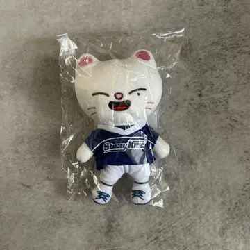 StrayKids SKZOO Jiniret 지니렛 백참