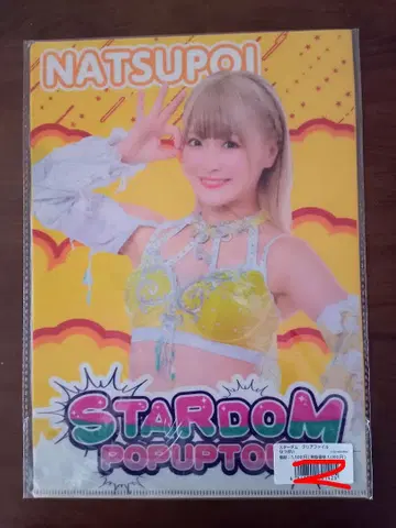 나츠포이 스타덤 타워 레코드