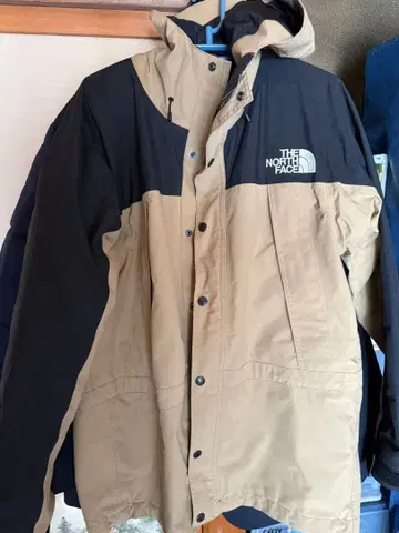 THE NORTH FACE 고어텍스 마운틴 후드티