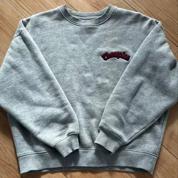 챔피온 맨투맨 트레이닝복