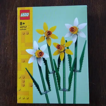 LEGO 40747 Daffodils 수선화 꽃다발