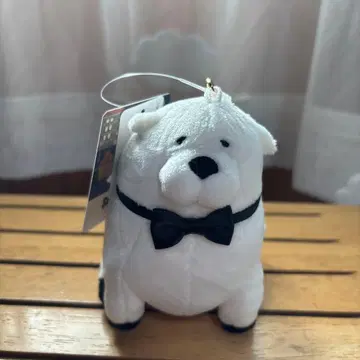 애프터눈 티 스파이 패밀리 본드 키링