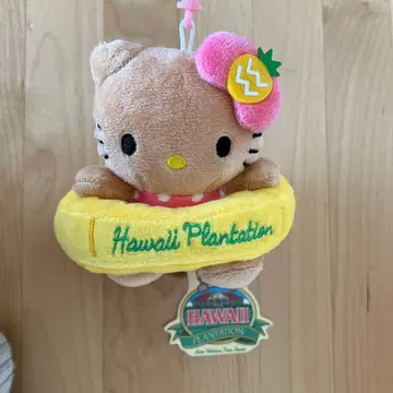 하와이 일광화상 키티 인형