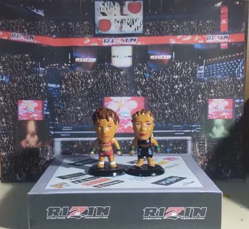 프로 격투 히어로즈 RENAVS 야마모토 미유