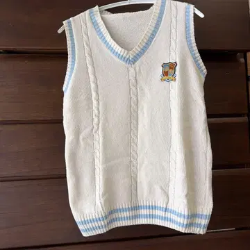 팬더드래곤 파라곤학원 베스트 타이거