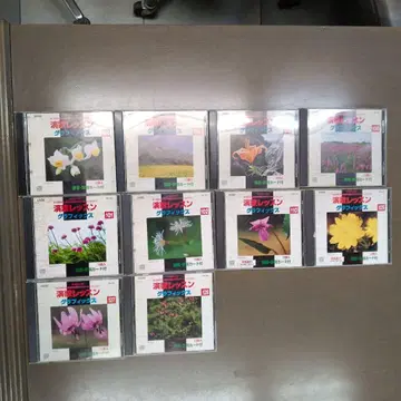 엔카 레슨 CD 10장 세트