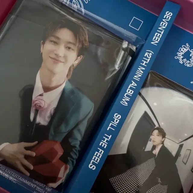 스필더필스 캐럿반 명호