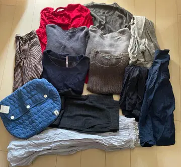 여성용 L 사이즈 묶음 판매 내추럴 심플 스튜디오 클립