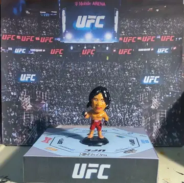 프로 격투 히어로즈 츠루야 레이 복싱 피규어